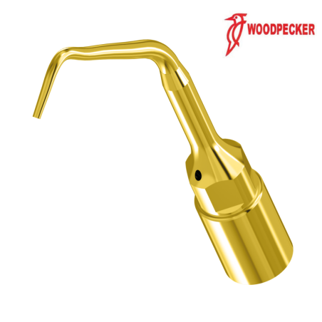 Insert UE2 - WOODPECKER