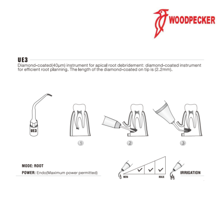 Insert UE3 - WOODPECKER 2