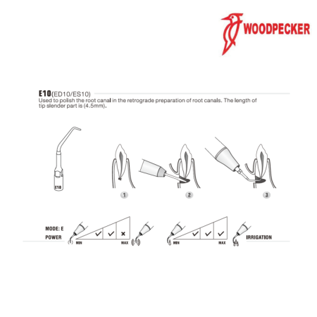 Insert ED10 - DTE WOODPECKER 2