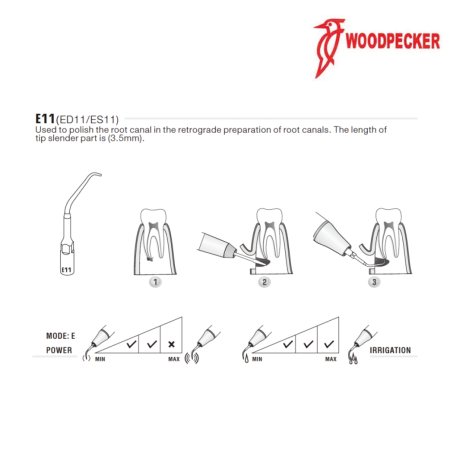 Insert ED11 - DTE WOODPECKER 2
