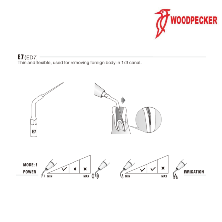 Insert ED7 - DTE Woodpecker 2