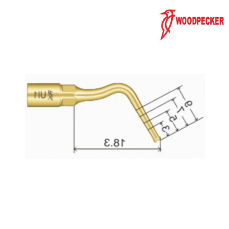 Insert UI1 Woodpecker