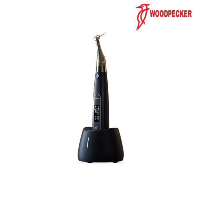 AI MOTOR Black Edition - WOODPECKER