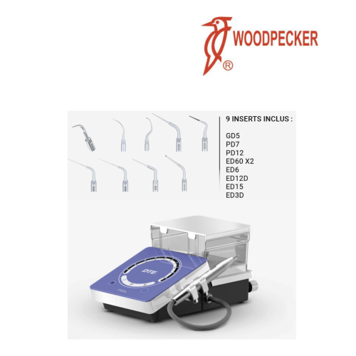 Détartreur de table D600LED - WOODPECKER 2