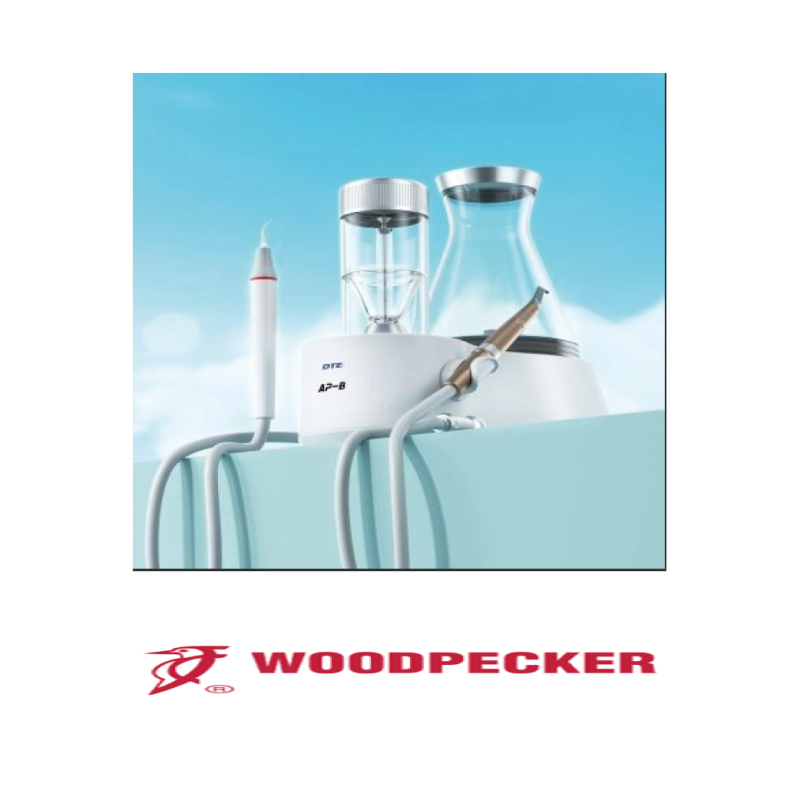 AP-B Aéropolisseur/Détartreur 2 en 1 - WOODPECKER