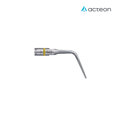 Insert endo success CAP1 - ACTEON
