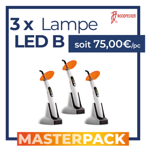 MASTERPACK - 3 Lampes Led B - WOODPECKER