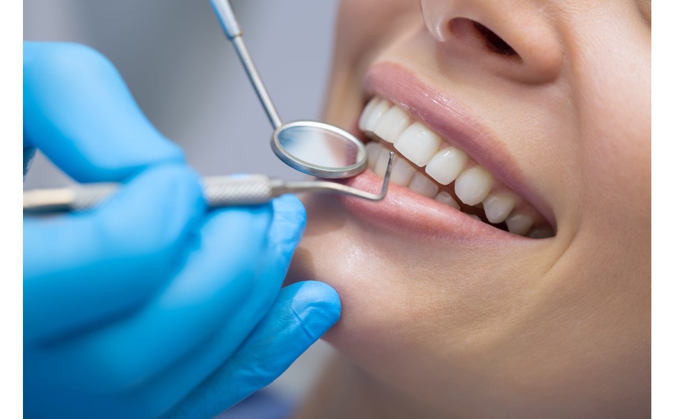 Comment présenter la Prophylaxie en termes simples? 